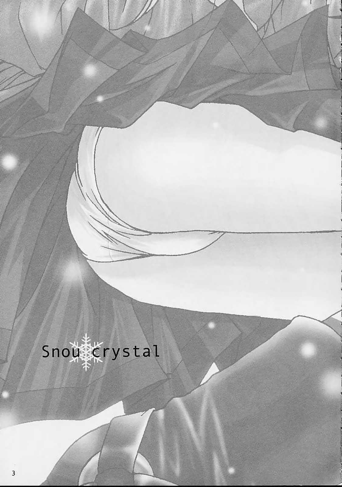 Snow crystal 1