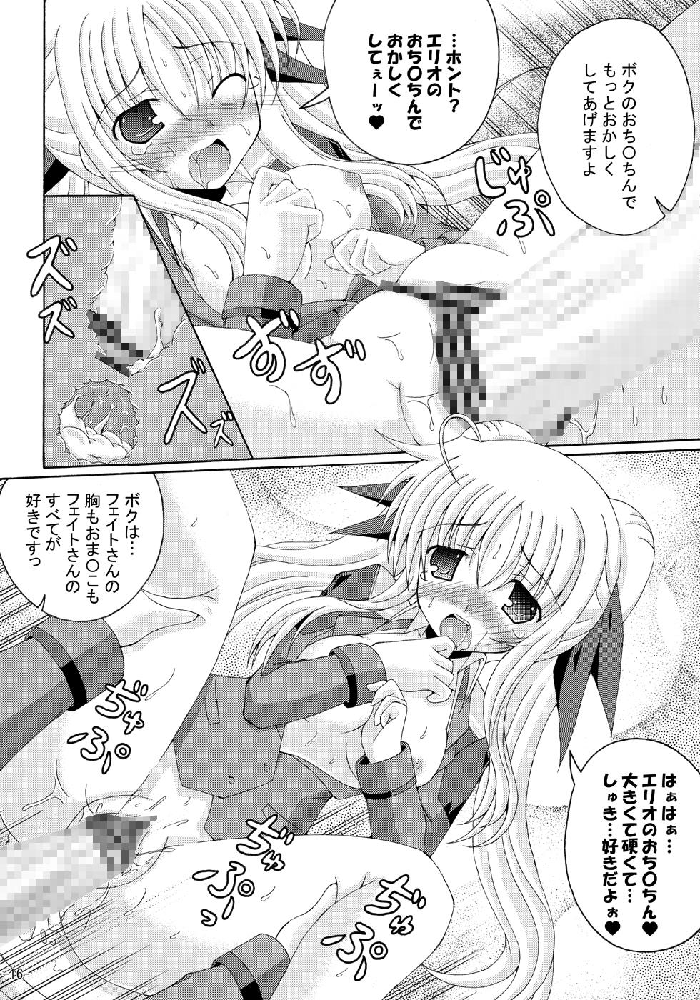 Lyrical Magical Ecchi na Fate-san wa Suki? 3 14