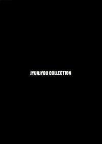 Jyunjyou Collection 2