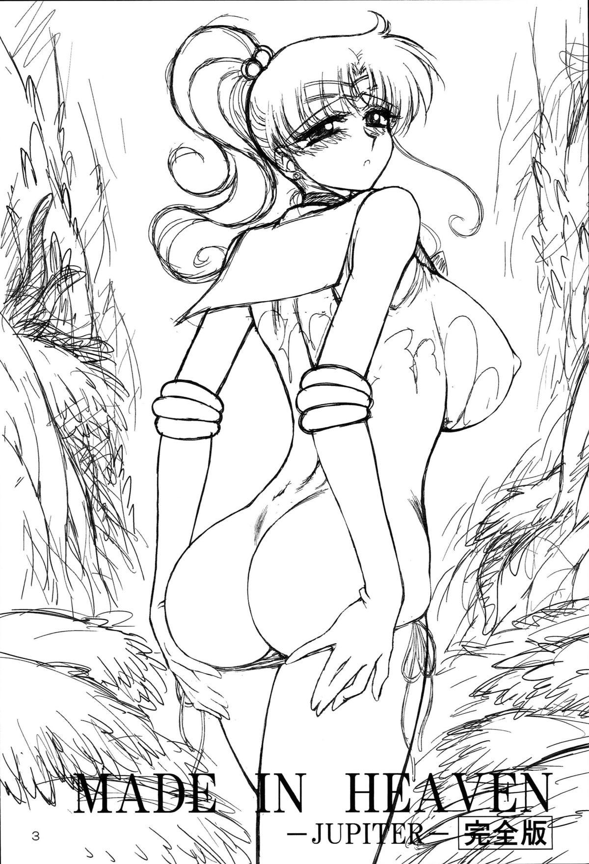Teensex [BLACK DOG (Kuroinu Juu)] Made in Heaven -Jupiter- Kanzenban (Bishoujo Senshi Sailor Moon) [2014-03-15] - Sailor moon Bottom - Page 3