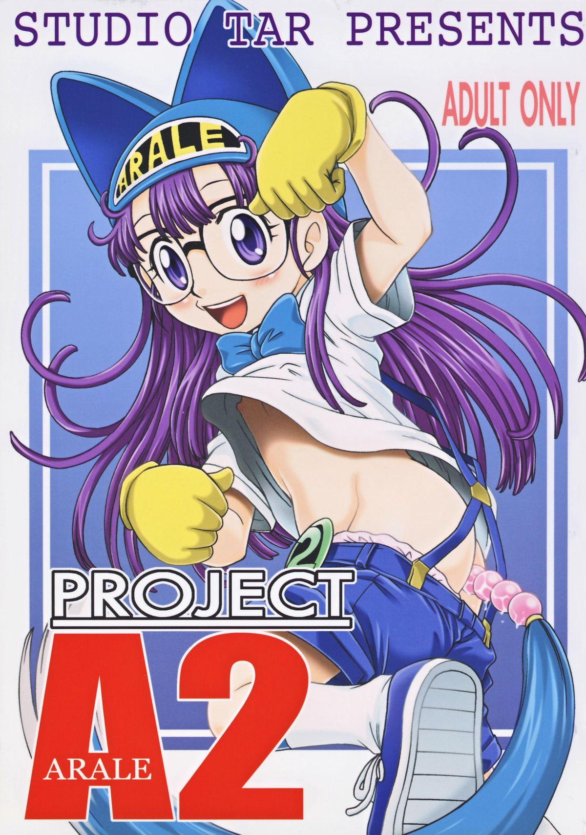 Project Arale 2 0