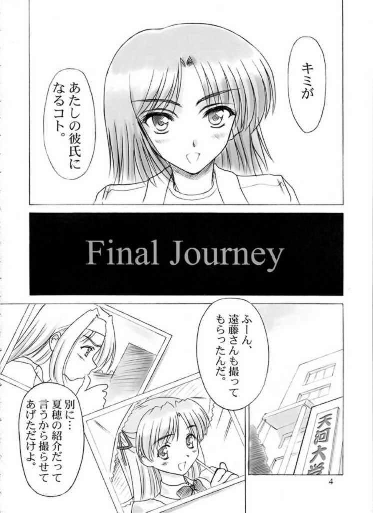 Final Journey 3