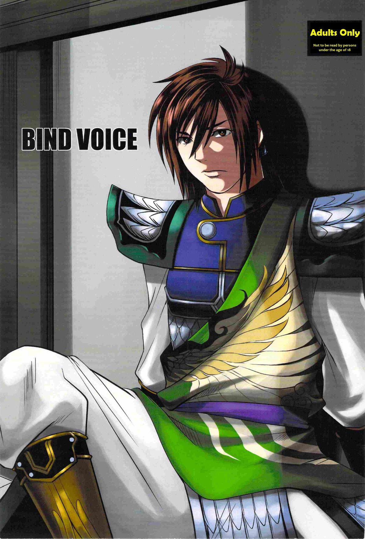 Hermosa Bind Voice - Dynasty warriors Outdoor Sex - Page 1