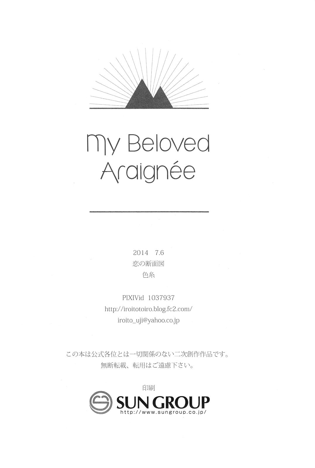 Waga Itoshi no Araignée | My Beloved Araignée 29