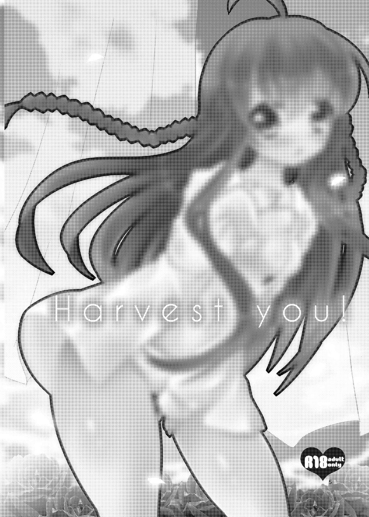 Cocks Harvest you! - Rewrite Grosso - Page 4