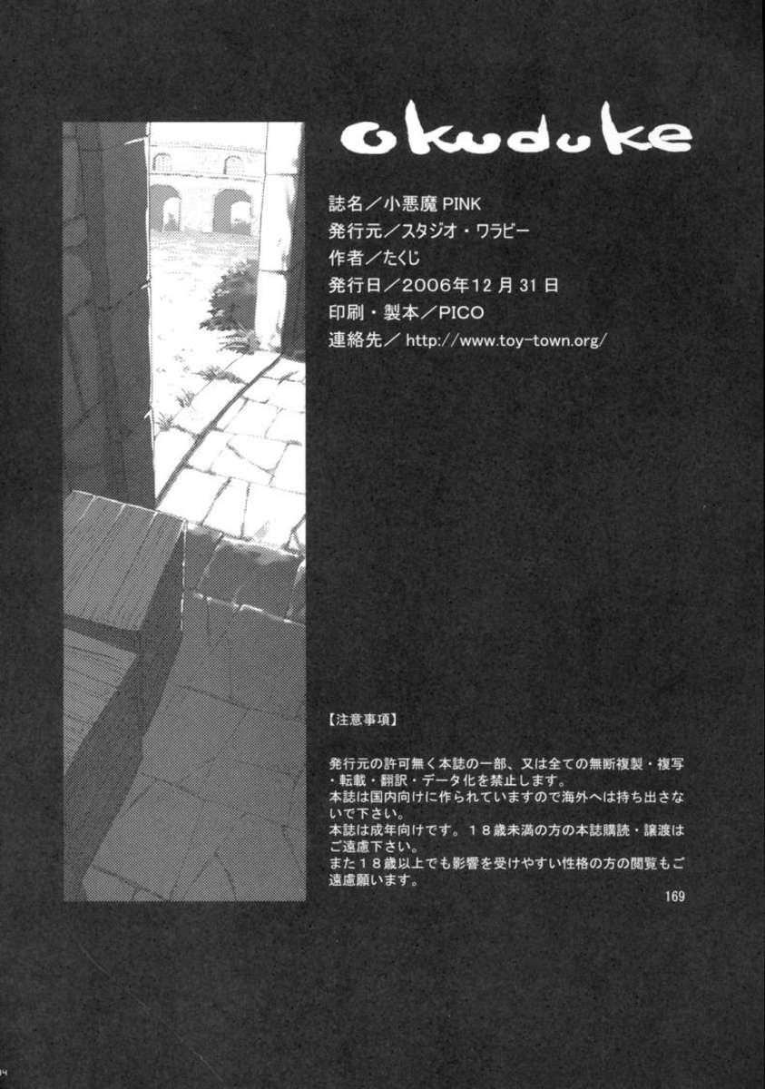 Thick Koakuma PINK - Zero no tsukaima Sofa - Page 33