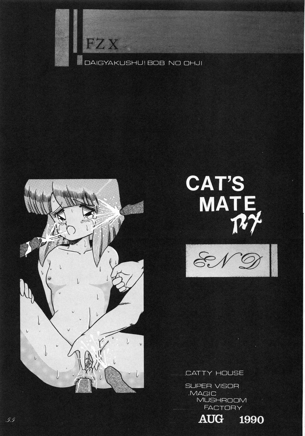 Cat's Mate RX 56