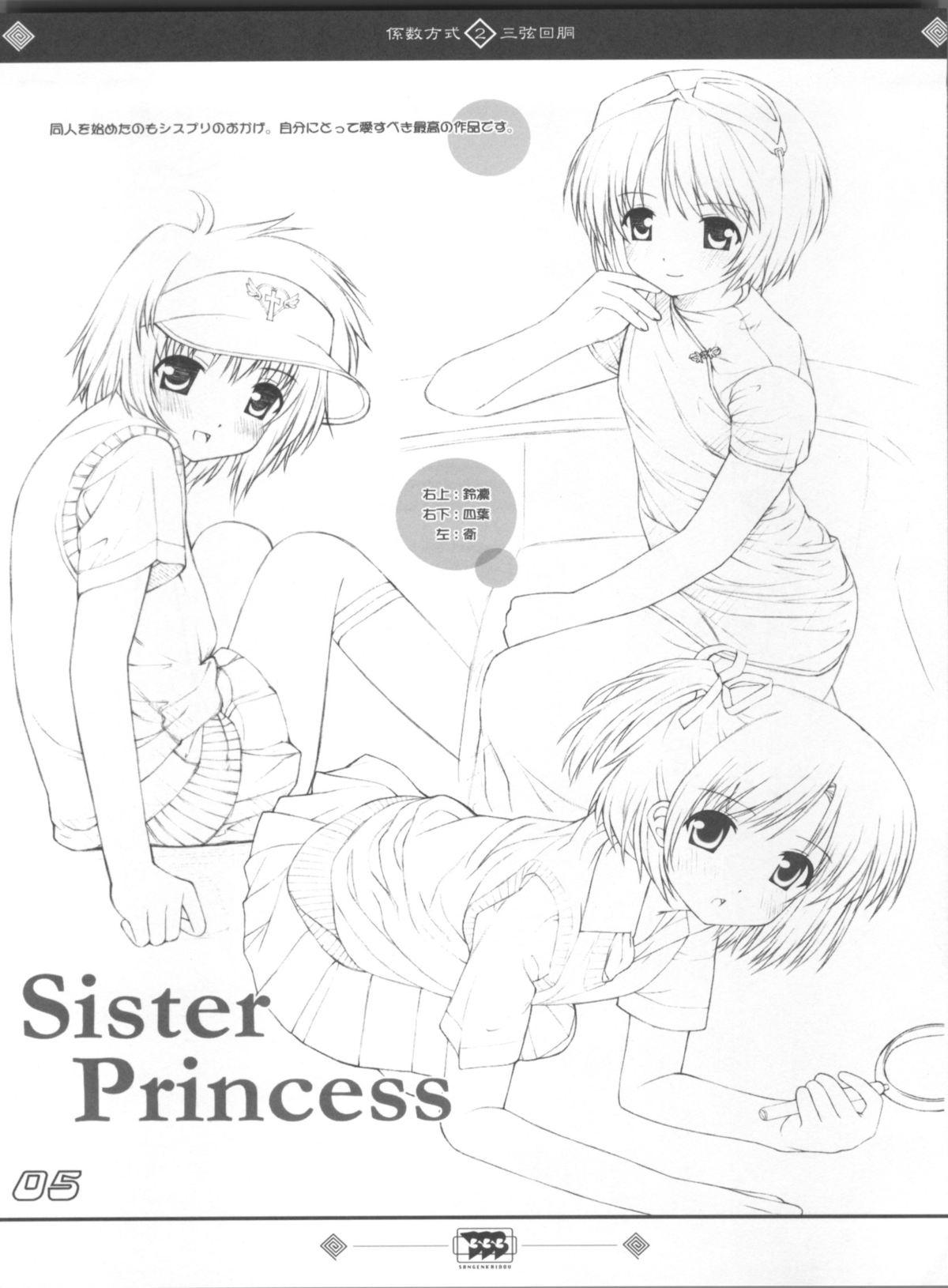 Black Dick Keisuhousiki 2 - Ragnarok online Sister princess With - Page 5
