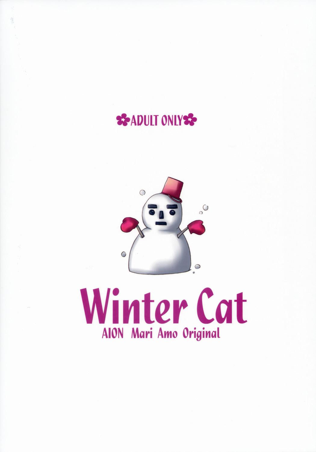 Winter Cat 25