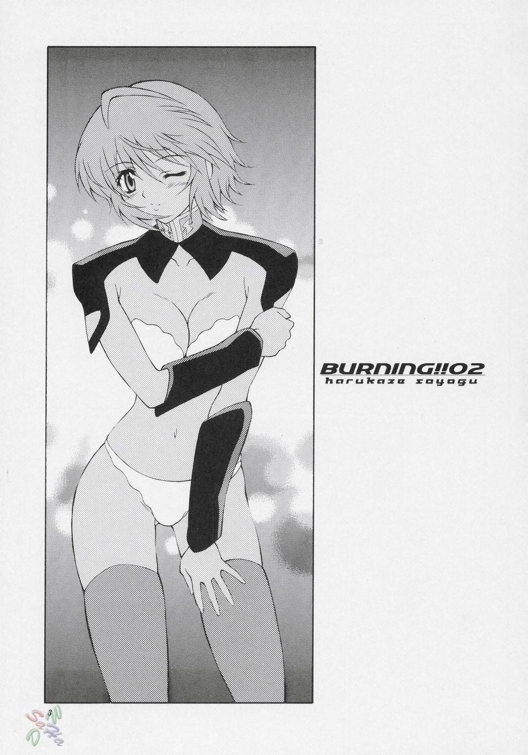 Gay Boysporn Burning!! 2 - Gundam seed destiny Costume - Page 2