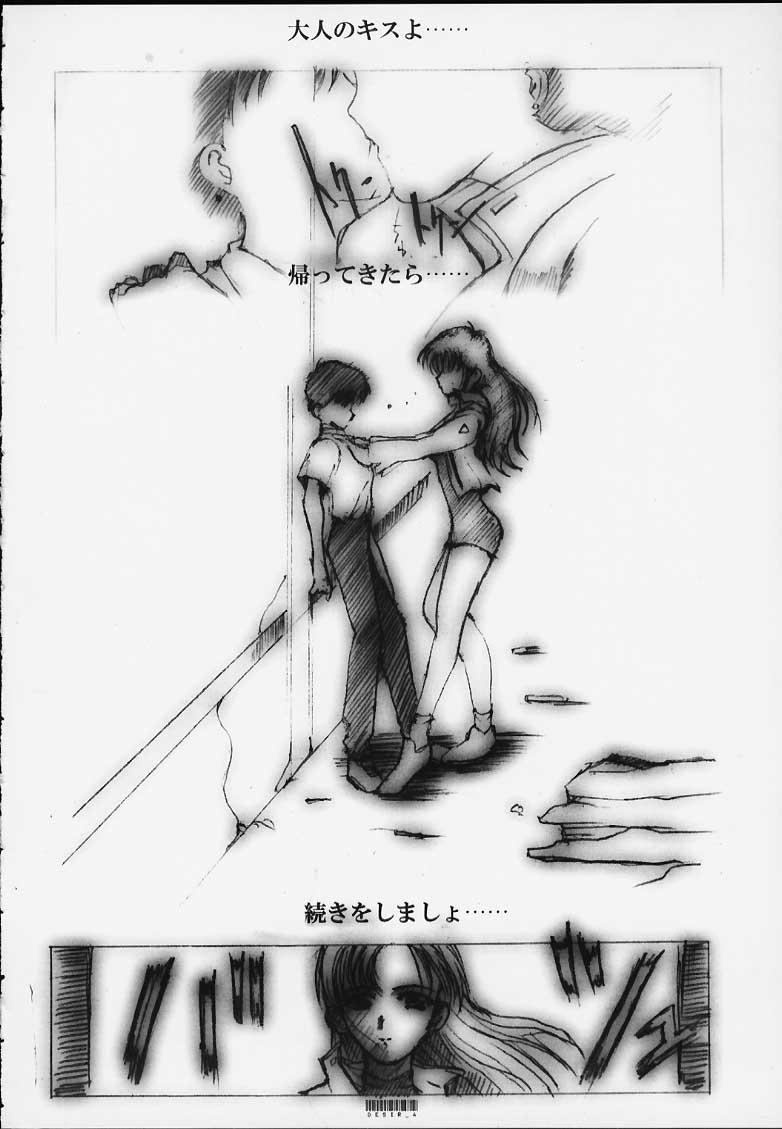 [Neko to Hato (Hatoya Mameshichi)] Désir - Yokubou no Hate - Kaiteiban (Neon Genesis Evangelion) 2