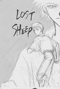 Lost Sheep 2