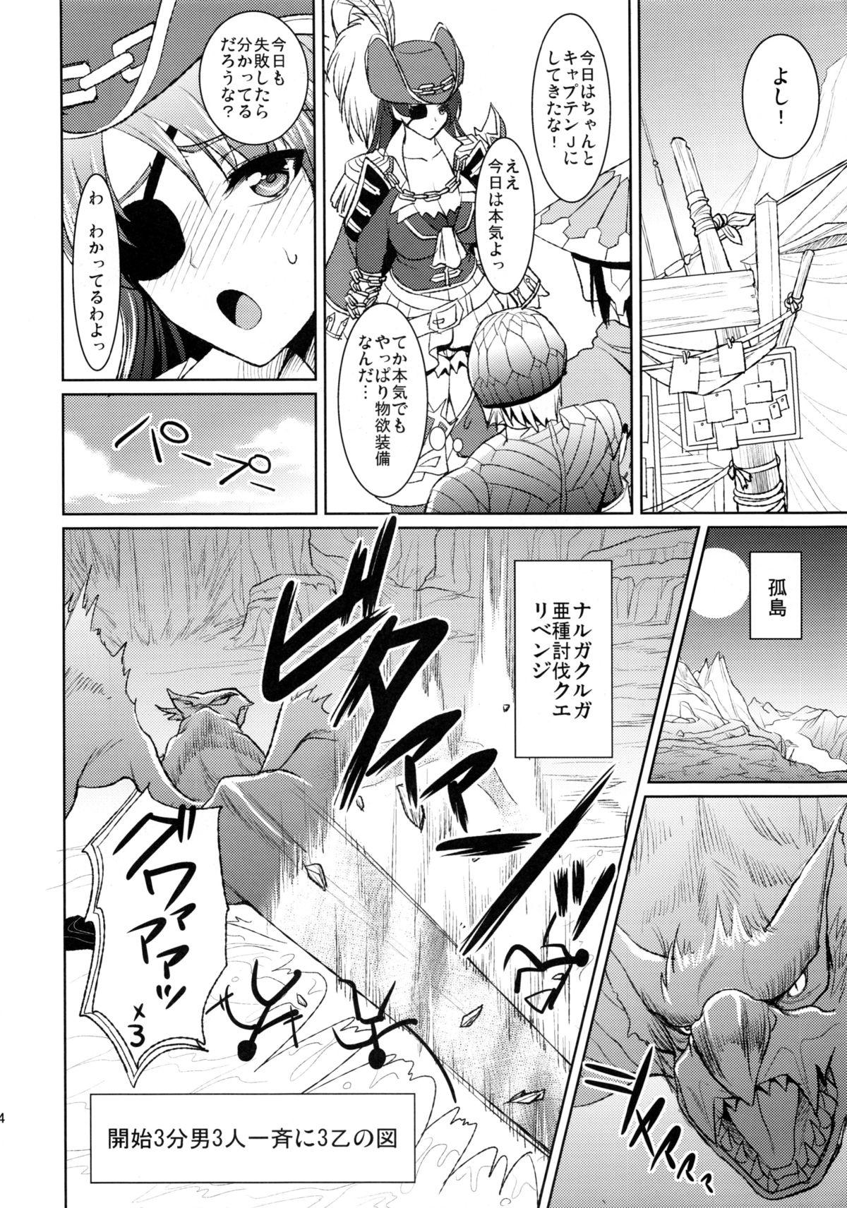 Camporn Kaizoku Musume no Gosan - Monster hunter Blowjob - Page 23