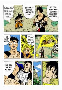 Dragon Ball H 7