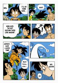 Dragon Ball H 9