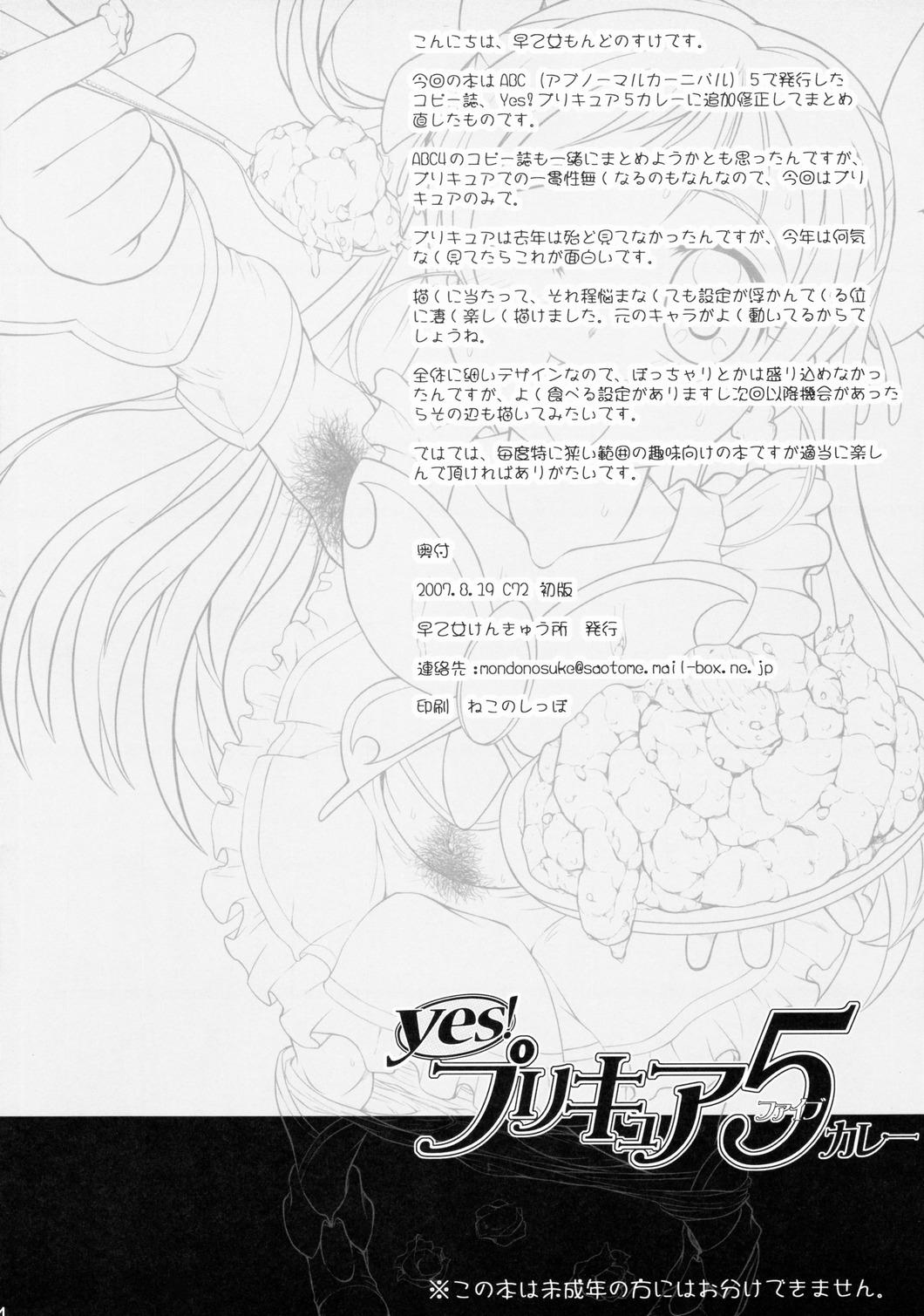 Yes! PRECURE-5 Curry 13