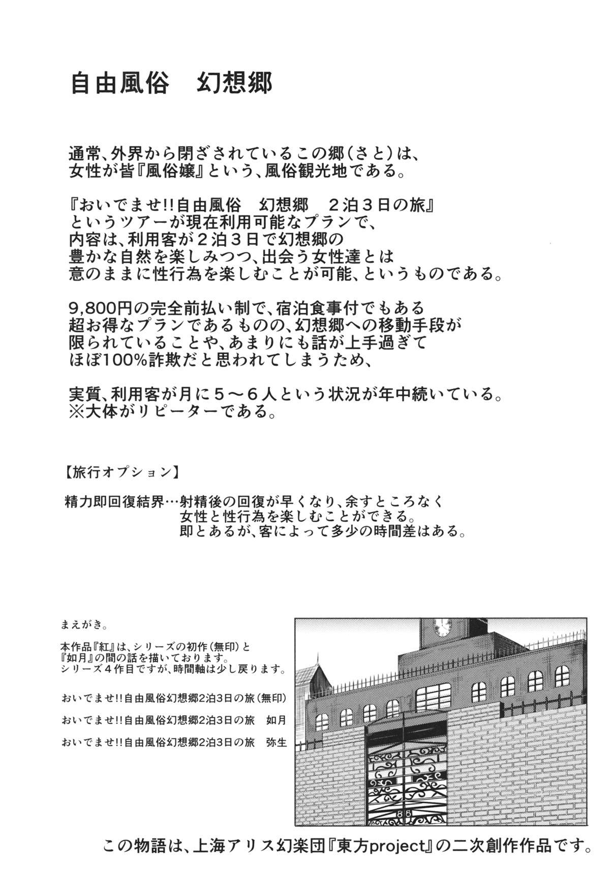 Butt (Kouroumu 10) [Nyuu Koubou (Nyuu)] Oidemase!! Jiyuu Fuuzoku Gensoukyou 2-haku 3-kka no Tabi - Kou (Touhou Project) [Chinese] [后悔的神官个人汉化] - Touhou project Teamskeet - Page 4