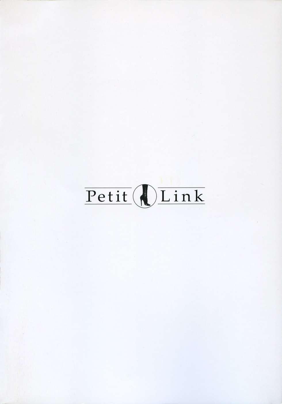 Petit Link 2 3