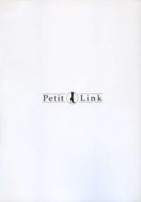 Petit Link 2 4