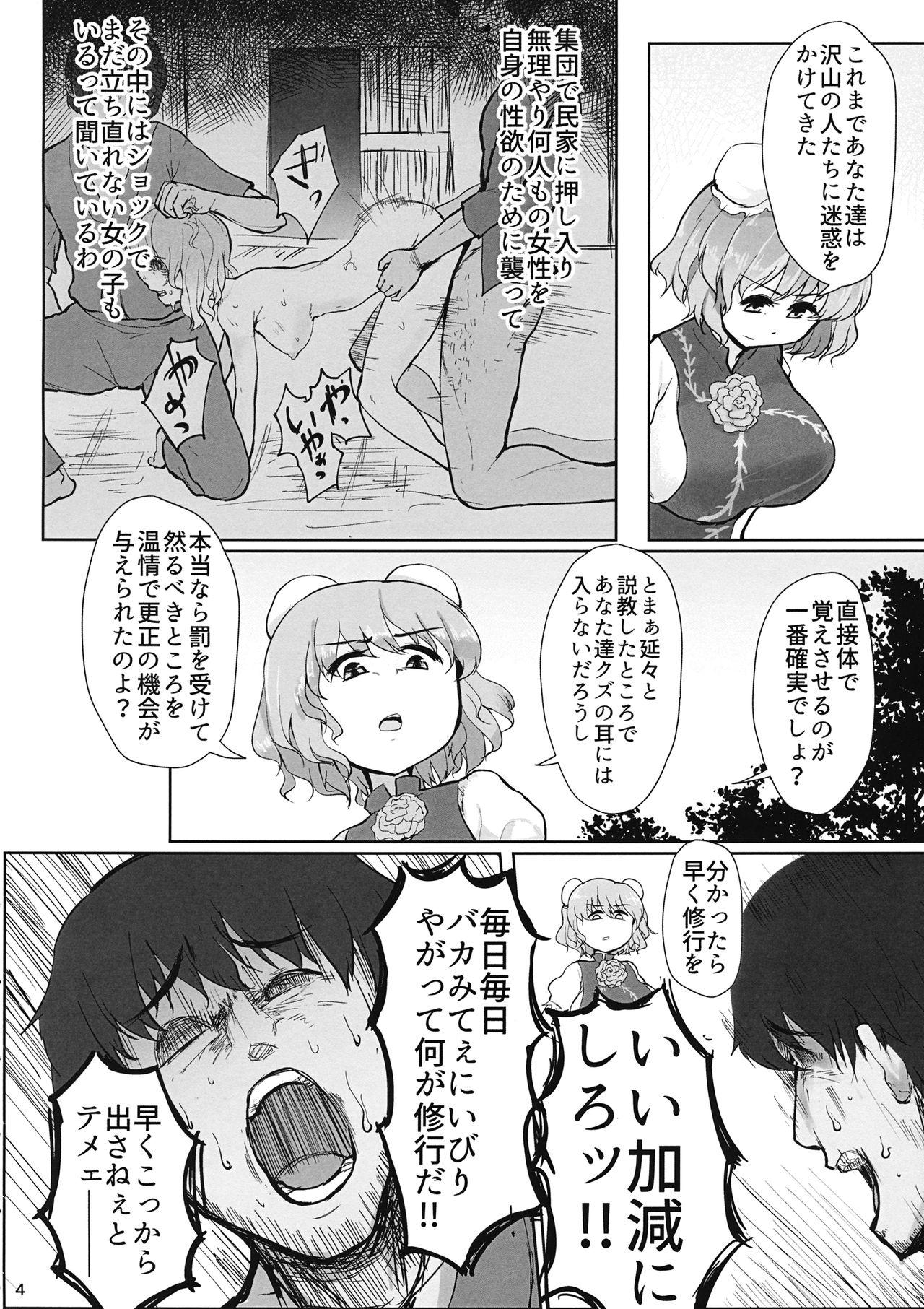 Hard Sex Sensei!! Kono Hon ni Fukenzen na Naiyou ga Issai Fukumareteinai Koto o Koko ni Chigaimasu! - Touhou project Sextoy - Page 3