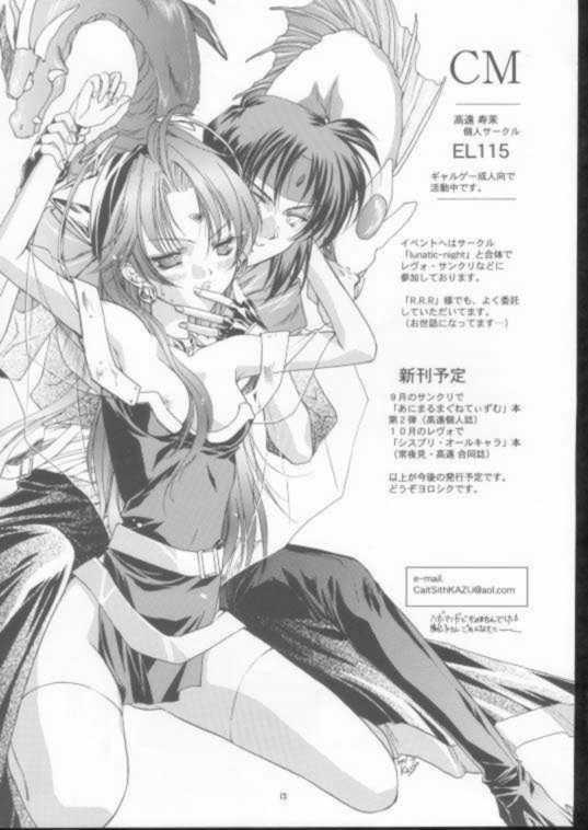 Elf's Ear Book 8 - Sennen Teikoku no Shuuen LAST OF THE MILLENIUM 13