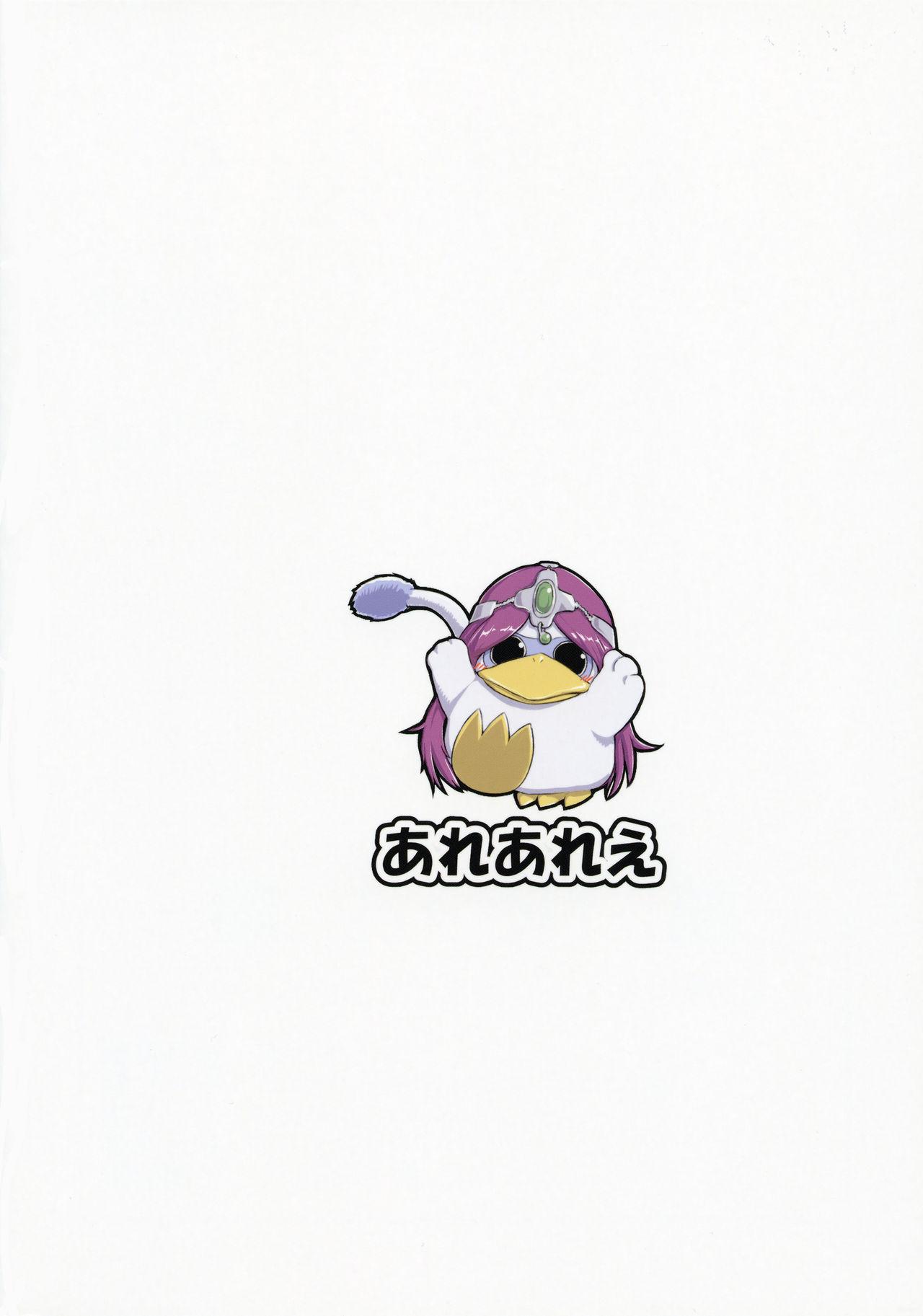 (C90) [Arearee (arearee)] Manya-san to Minea-san to Are Suru Hon (Dragon Quest IV) 23