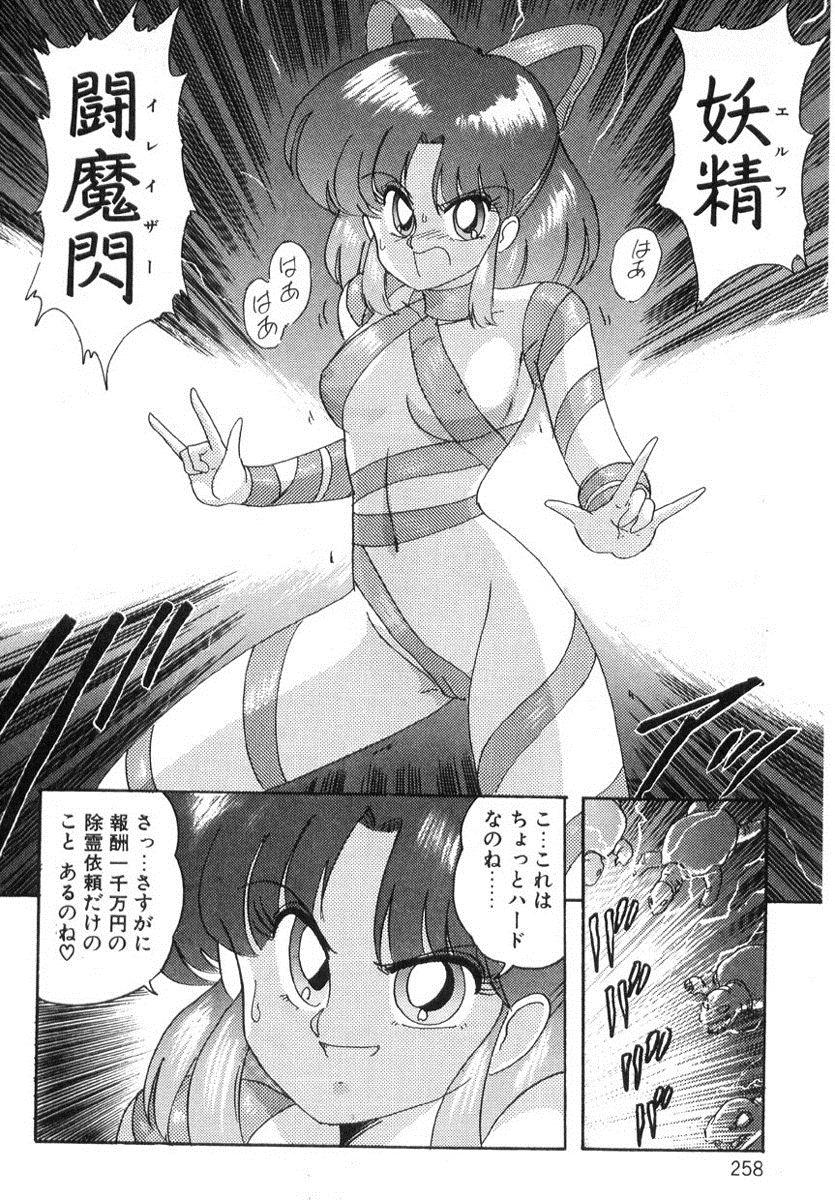 Seirei Tokusou Fairy Saber 256