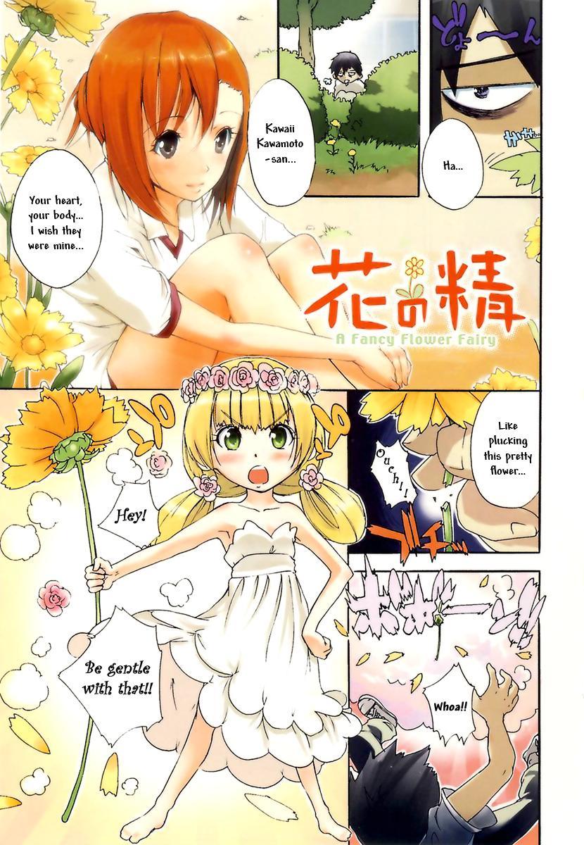 Hana no Sei - a Fancy Flower Fairy 1