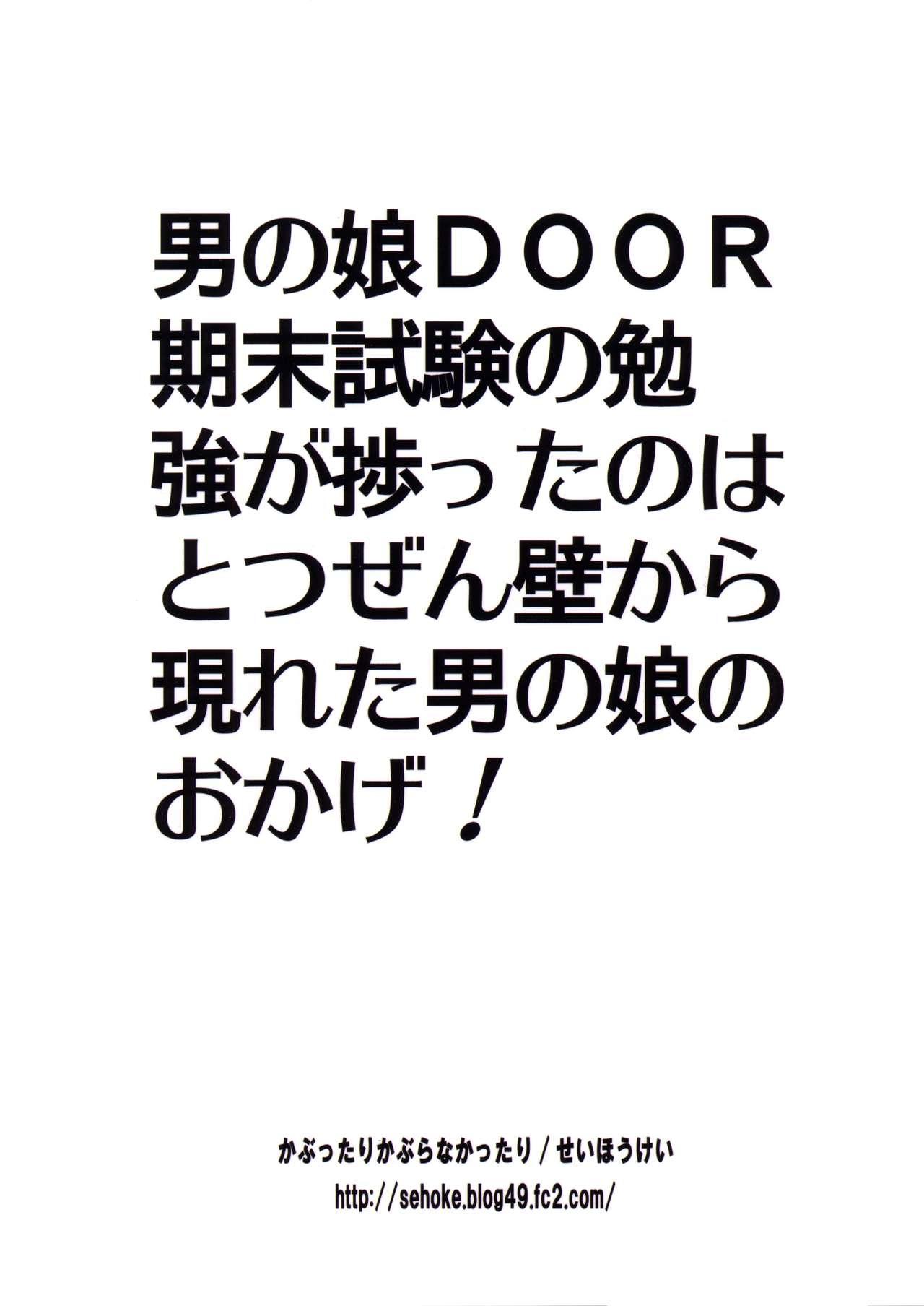 Casting Otokonoko DOOR Lesbians - Page 27