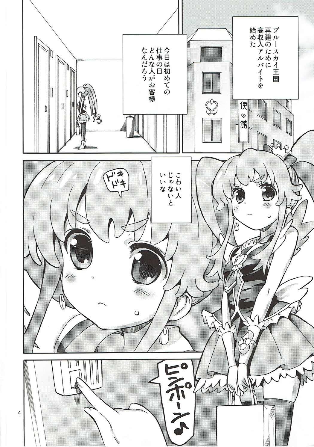 Holes PreAre 8 - Happinesscharge precure Skinny - Page 3