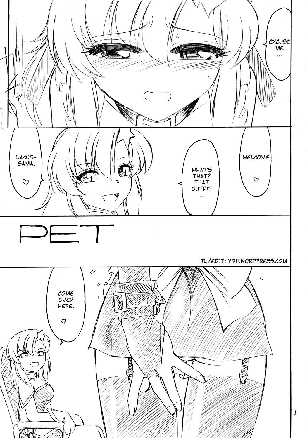 Teens PRISONER 9 Pet - Gundam seed destiny Rough Sex - Page 2