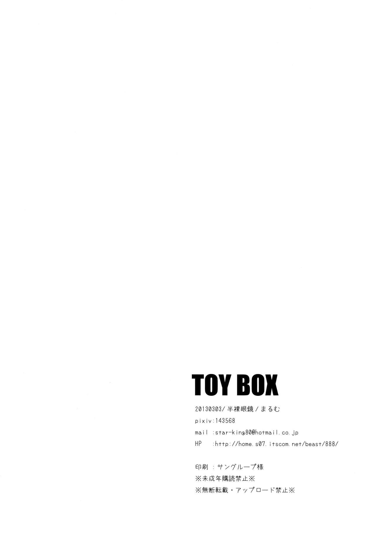 TOY BOX 17