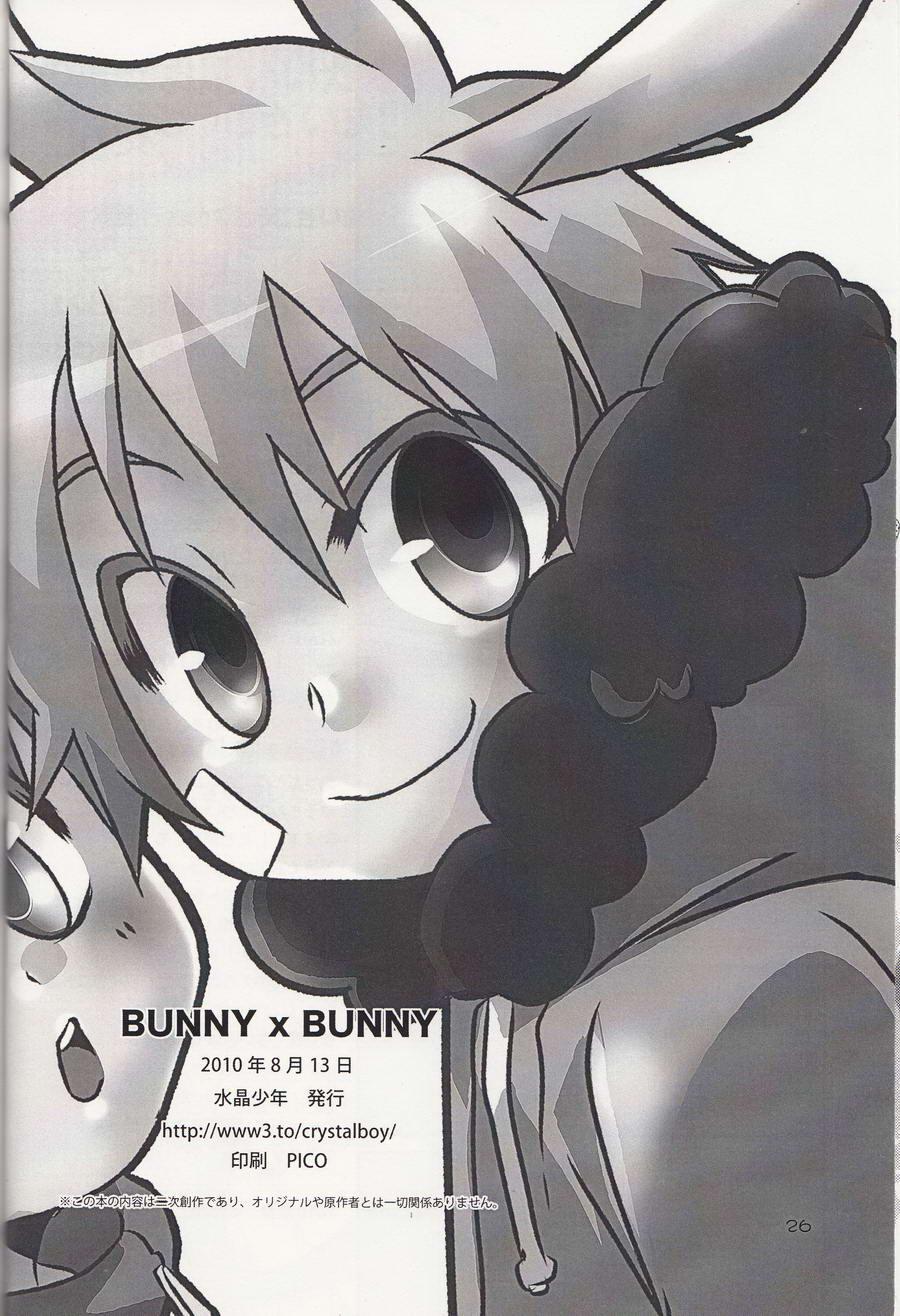 Bunny x Bunny 24
