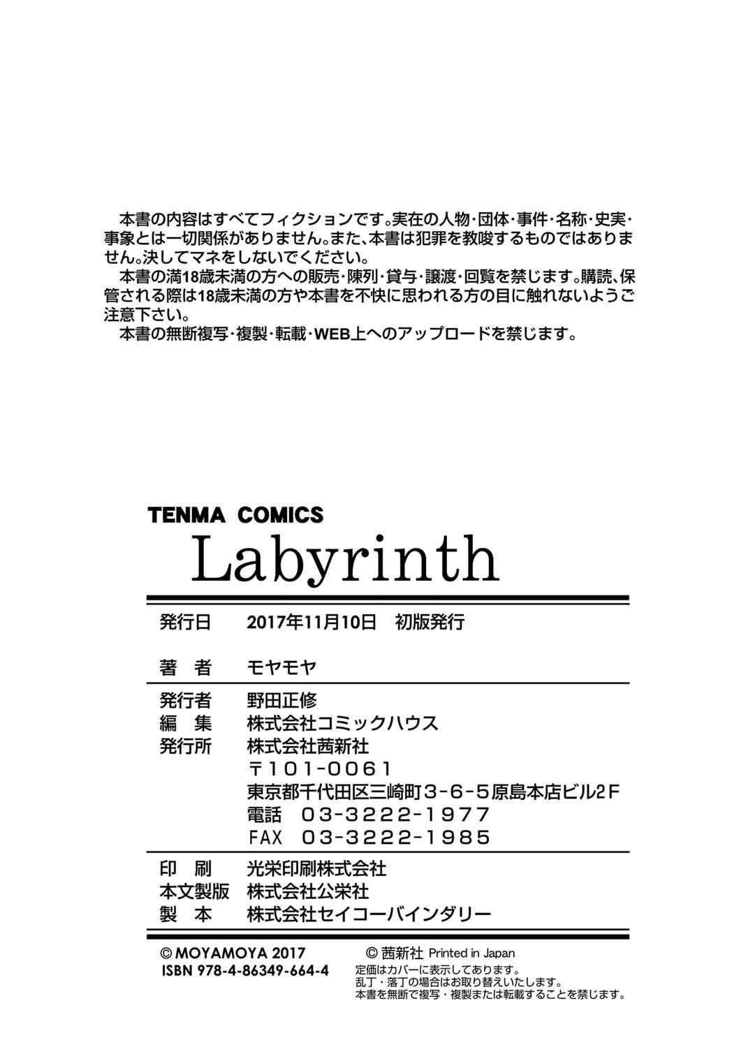 Labyrinth 230