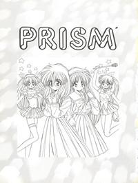 PRISM 3