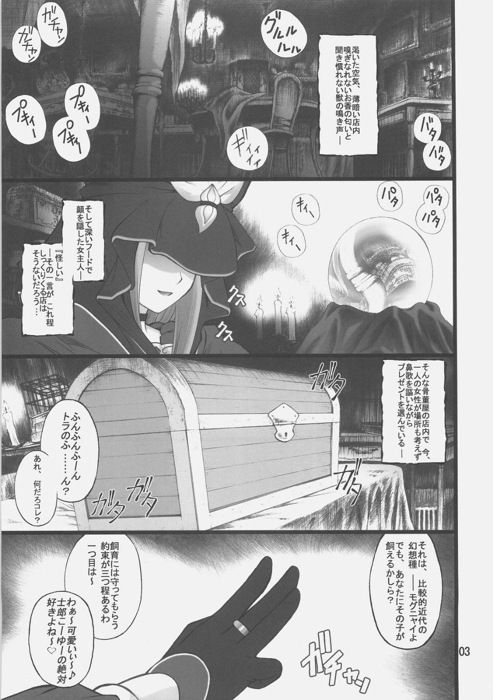 Step Fantasy Grem-Rin 1 - Fate stay night Fitness - Page 2