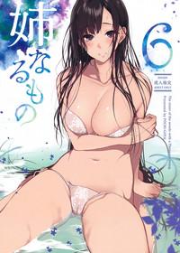 Ane Naru Mono 6 | An Elder Sister 6 1