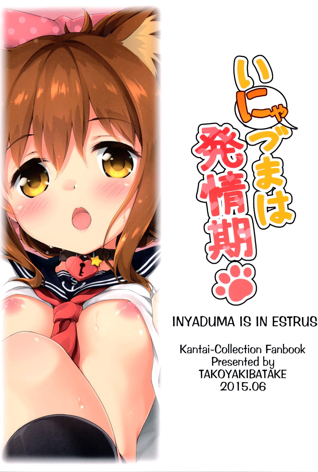 Small Tits Porn Inyaduma wa Hatsujouki - Inyaduma is in Estrus - Kantai collection Lez Hardcore - Page 26