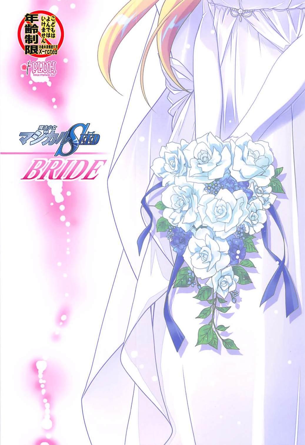 Gay Interracial Magical SEED BRIDE - Mahou shoujo lyrical nanoha Bondage - Page 18