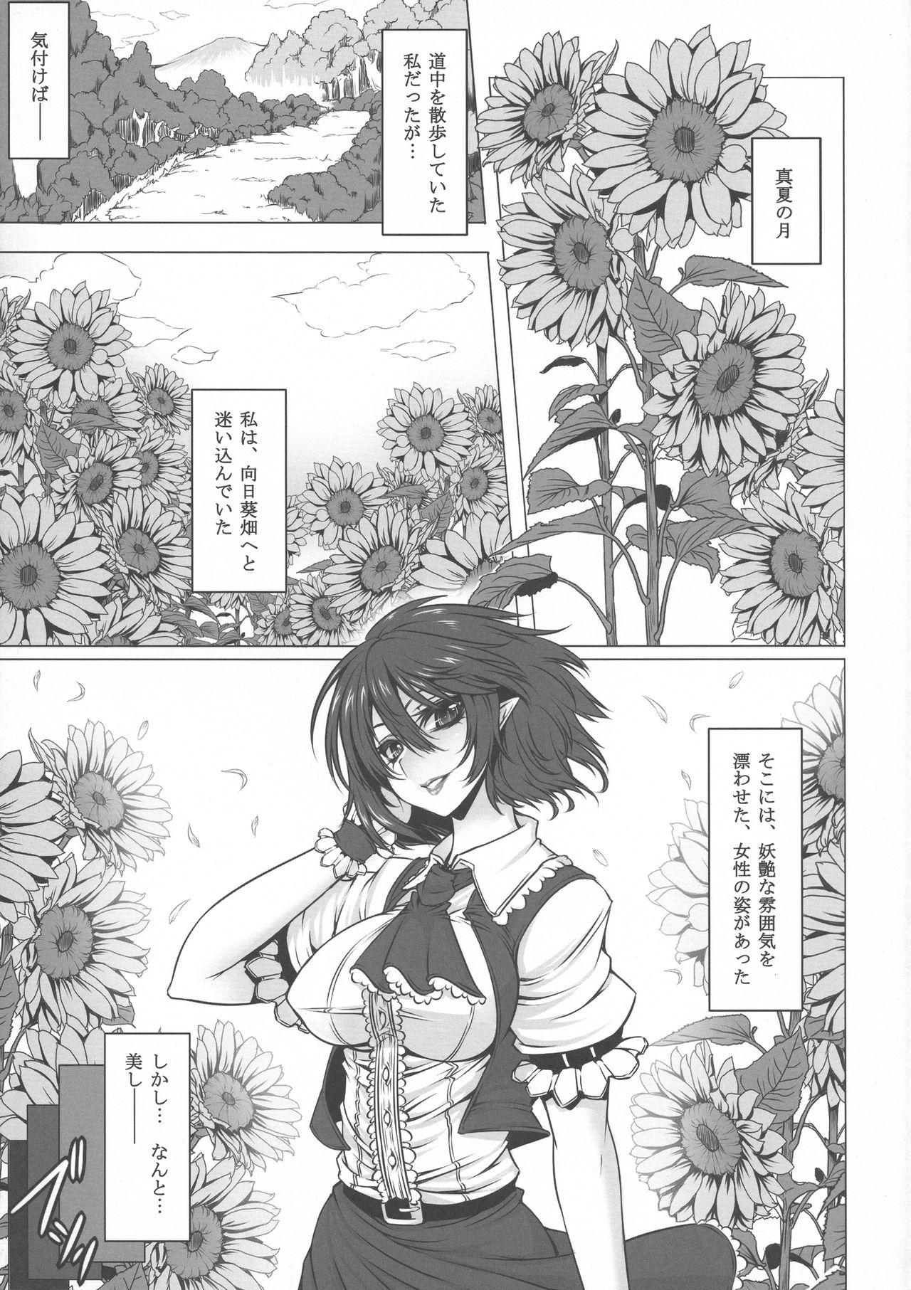 Classic Yume no Kyoukai Soushuuhen - Touhou project Amatures Gone Wild - Page 13