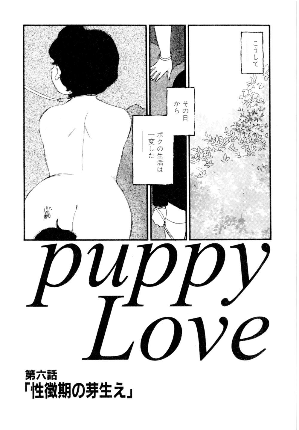 puppy Love 111