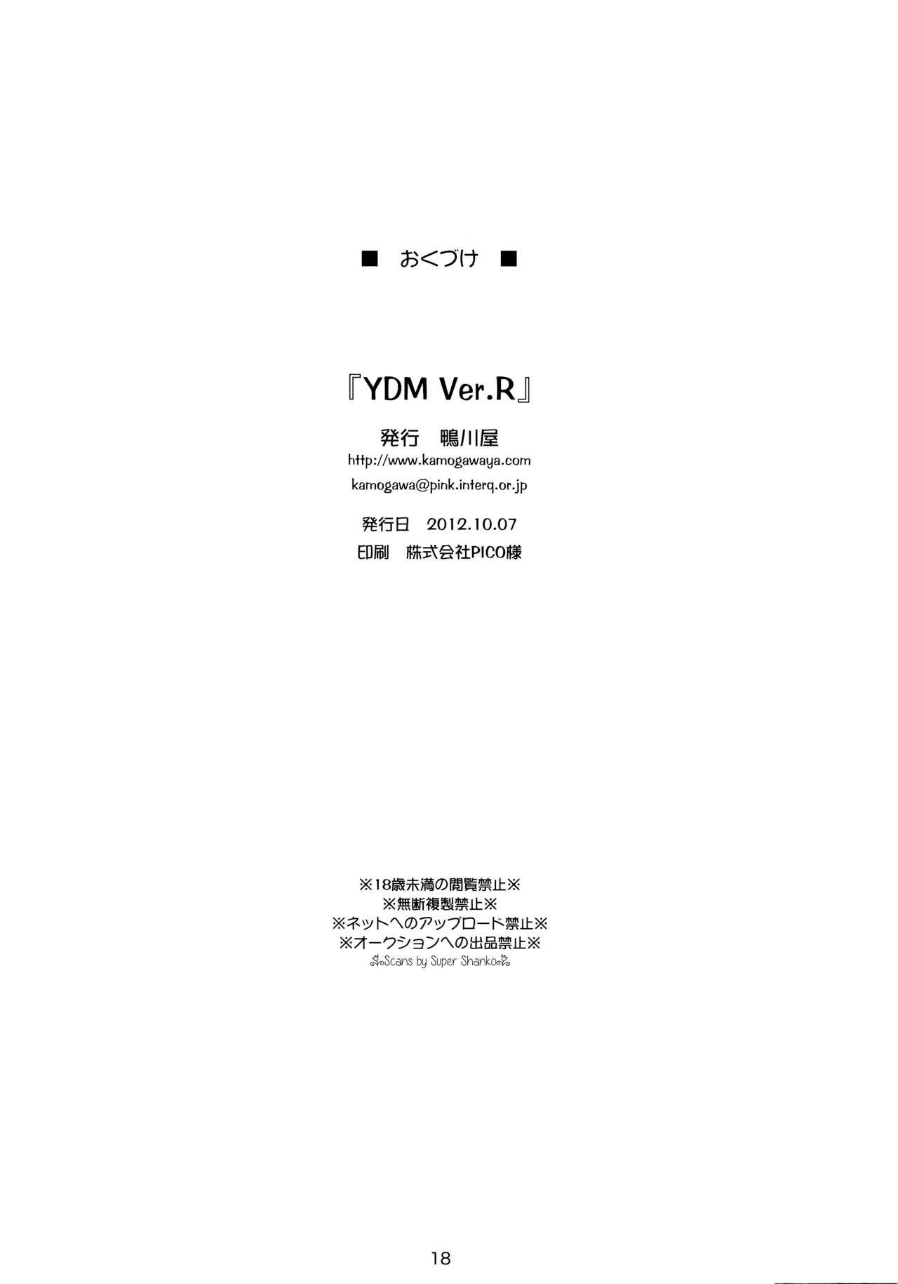 Redbone Y.D.M. Vers. R Limited Edition - Mahou shoujo lyrical nanoha Petite - Page 17
