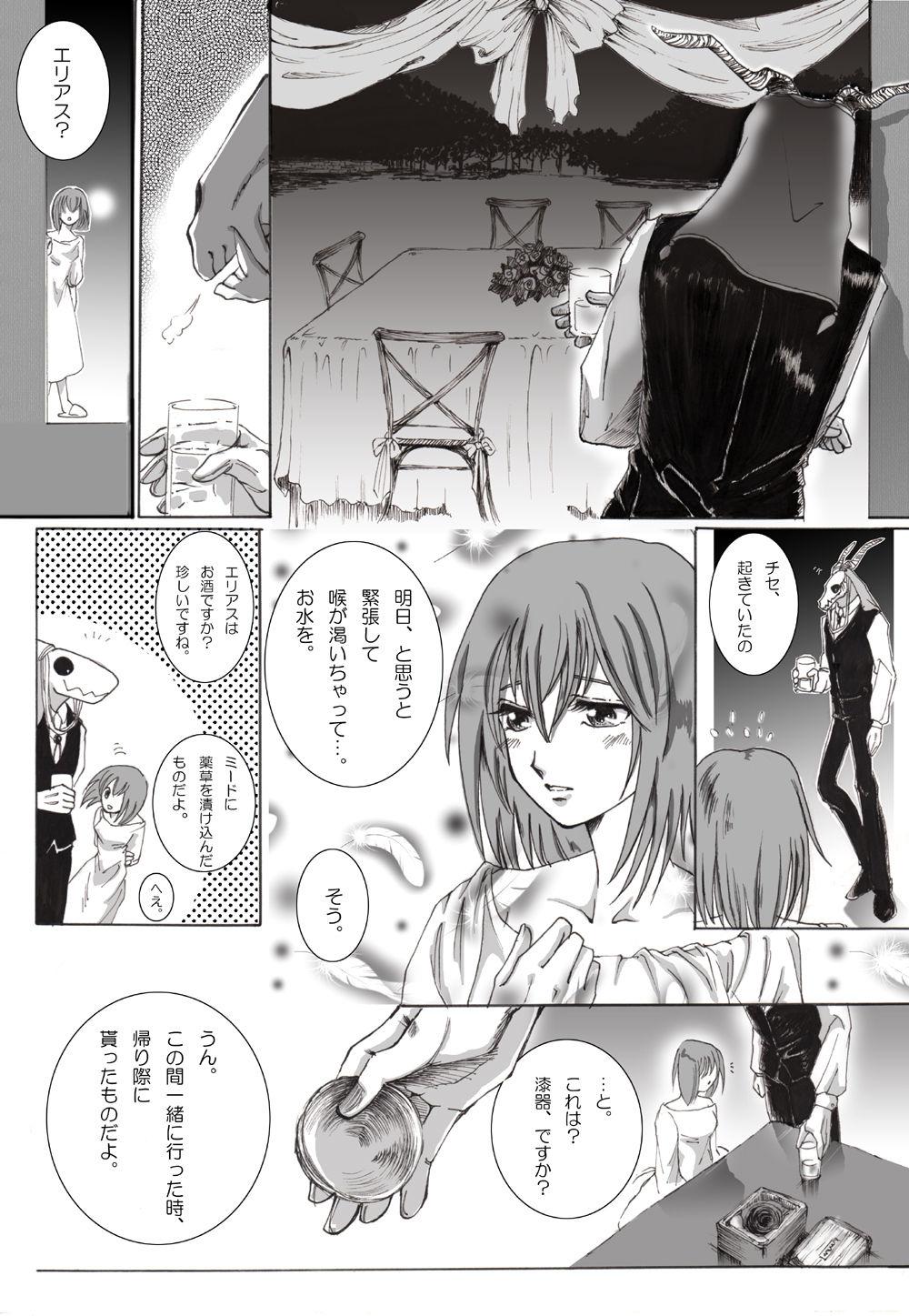 Stockings Nectar and his robbin are... - Mahoutsukai no yome Internal - Picture 1