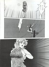 JavSt(ar's) LOOK OUT 30 Sailor Moon City Hunter Yu Yu Hakusho Gunbuster Dangaioh Slam Dunk Sexy 8