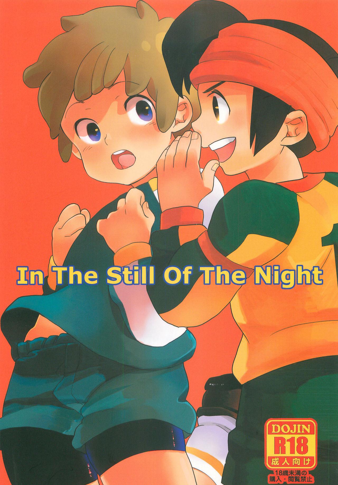 In The Still Of The Night 0