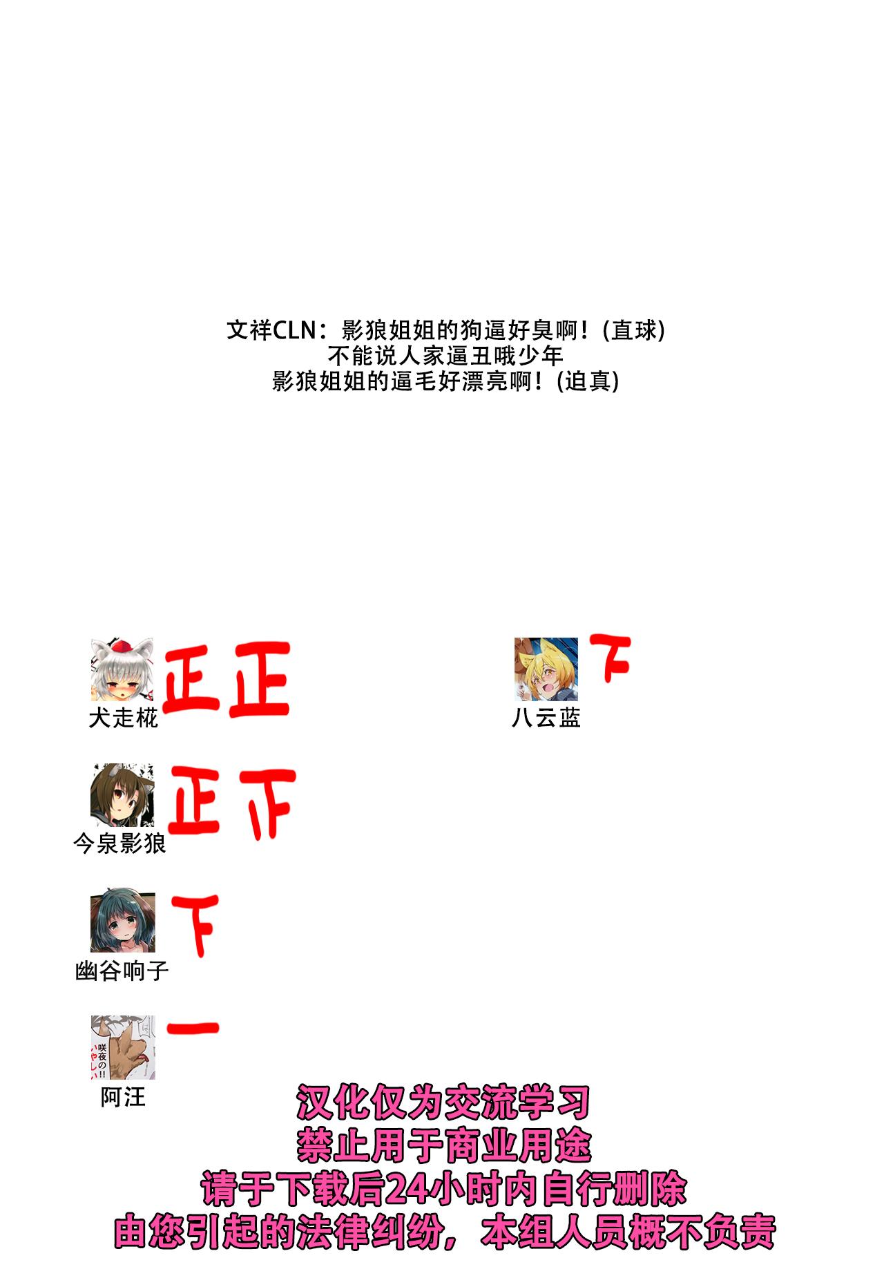 Morrita (Reitaisai 16) [Nanika no Heya (Hira)] Zoku Inu no Onee-chan-tachi no Hatsujou (Touhou Project) [Chinese] [狗东西汉化组] - Touhou project Webcamchat - Page 28
