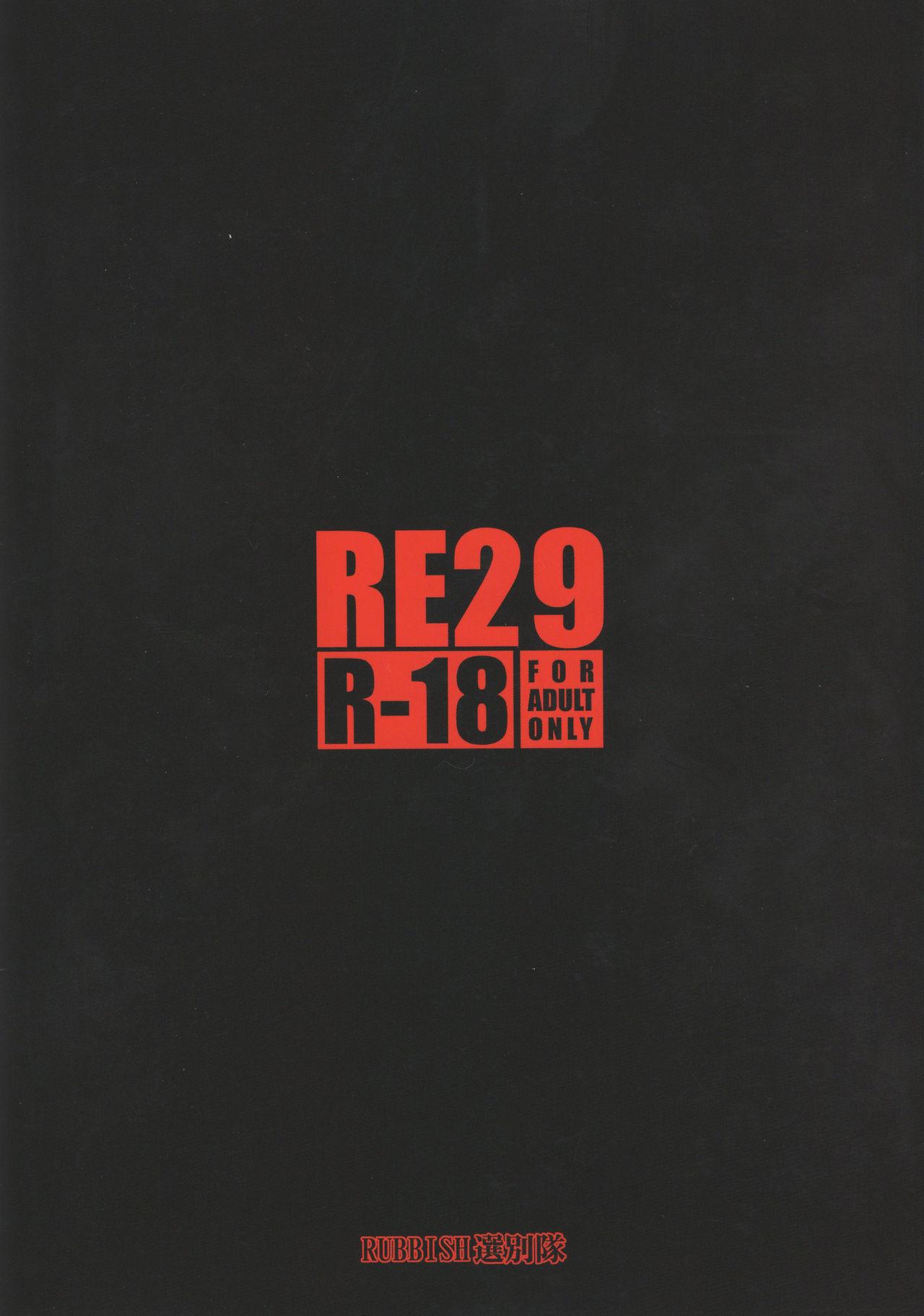 RE29 33