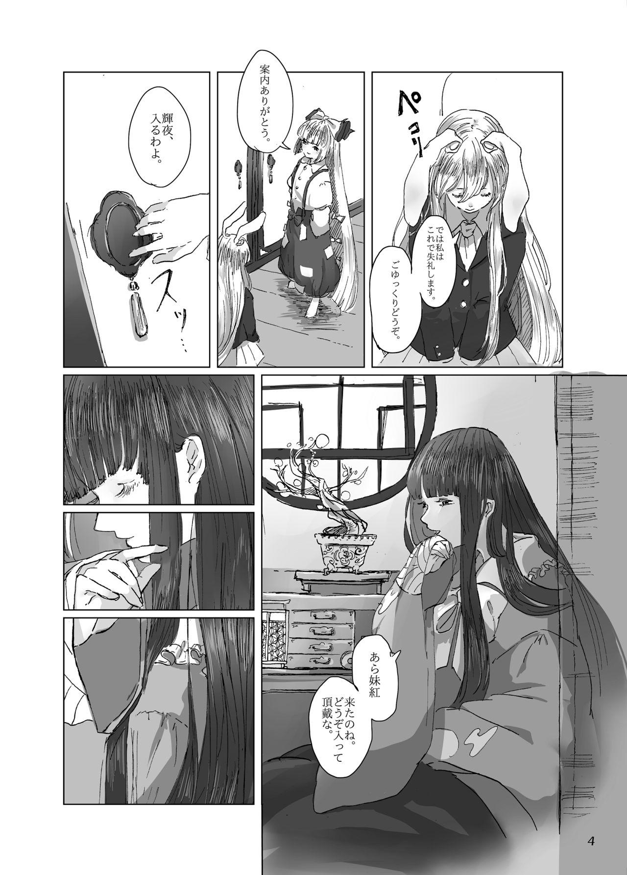 Step Brother Hodoyoi Kyori - Touhou project Wet - Page 4