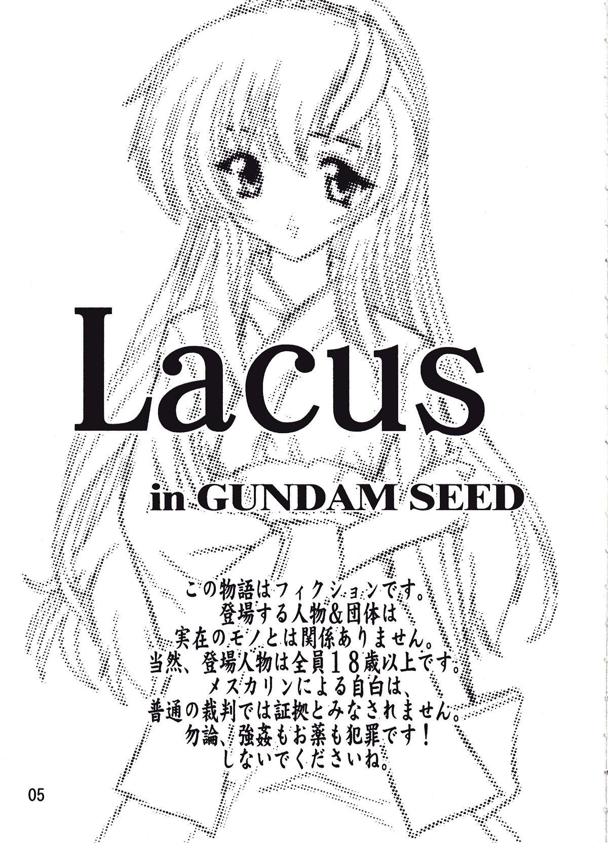 Vietnam Lacus - Gundam seed Blackdick - Page 4