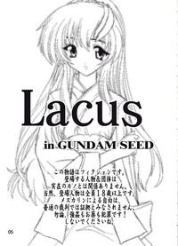 Lacus 3